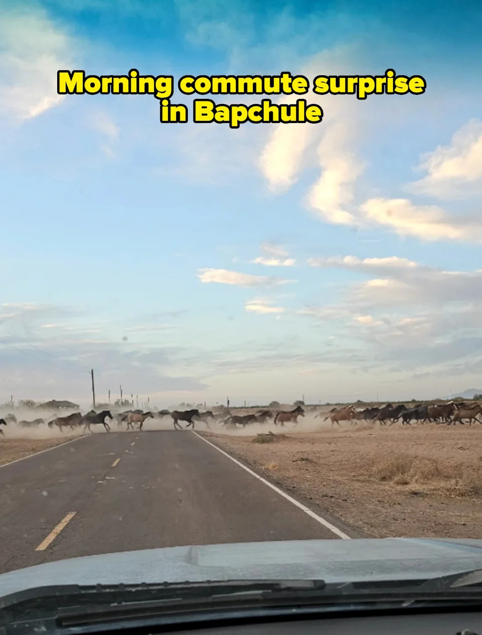 Herd of horses crosses a rural road, seen from a vehicle's dashboard under a vast sky