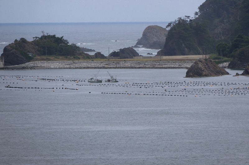 カムチャツカ半島付近の地震による津波で被害が出た可能性がある大船渡湾の養殖施設＝岩手県大船渡市で2025年8月1日午後0時16分、奥田伸一撮影