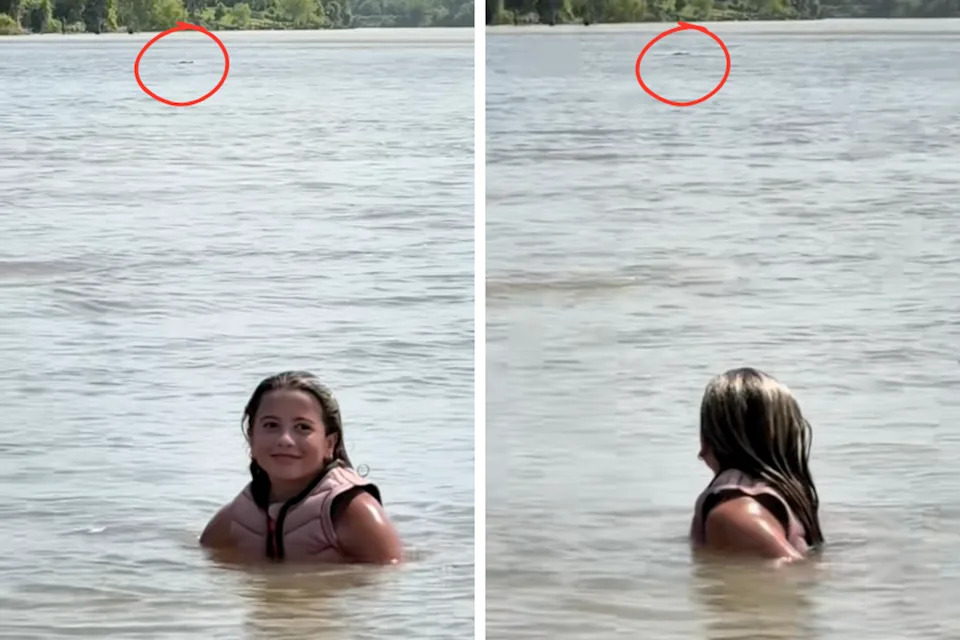 Clair Hurta, a 12-year-old competitive wakesurfer, encountered a nuisance alligator in the Colorado River in Texas over the weekend (TikTok/@malibuwakeclm288)