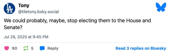 Post on social media questioning the election of House and Senate members, dated July 28, 2025