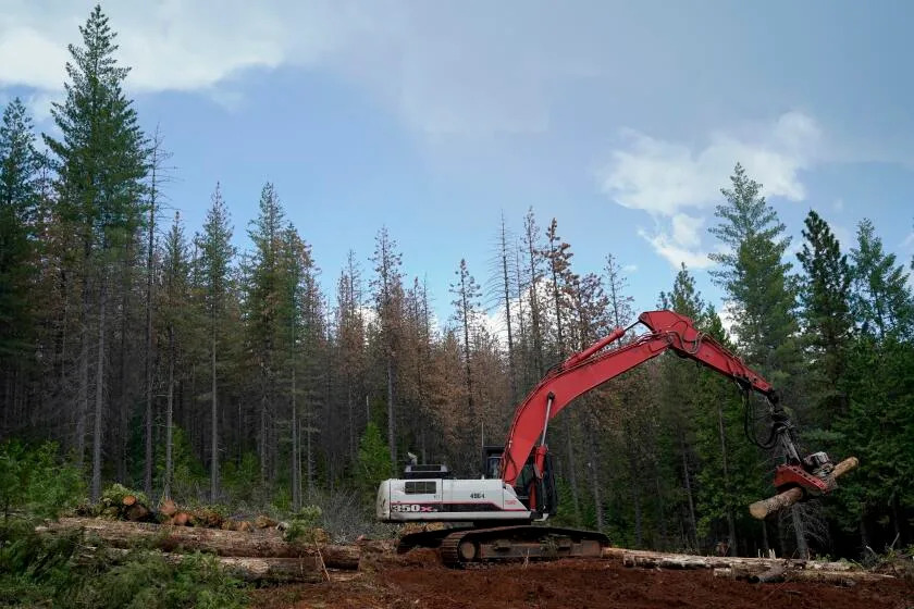 Letters to the Editor: California must learn from past forest fires and ban clear-cut logging