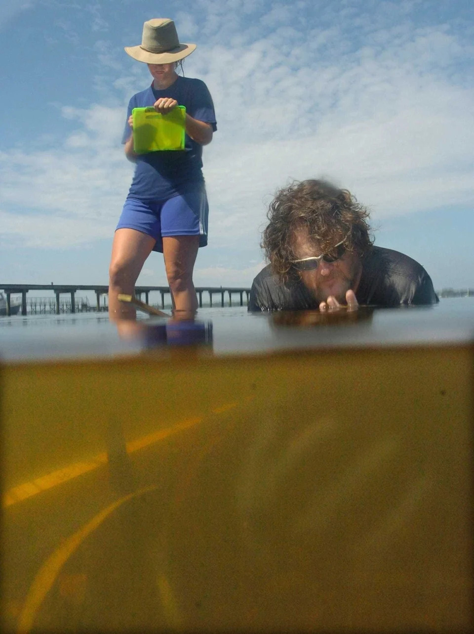 From sea grasses to manatees, human waste impacting environment on Florida's East Coast