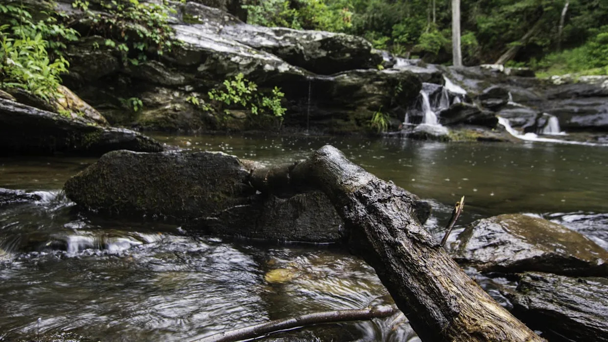 <div>FILE - A generic image of a fallen log near a swimming hole. Getty Images</div>