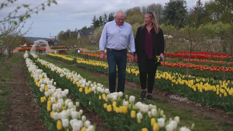 Jim and Stacy Chapin created a foundation, Ethan's Smile, raising money for scholarships by selling tulips planted in honor of their son, Ethan, who had worked at a tulip farm.