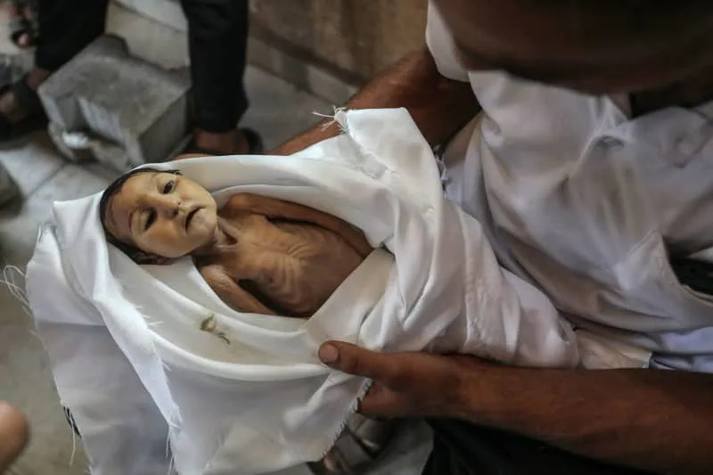 UN-backed report confirms famine in parts of Gaza for first time