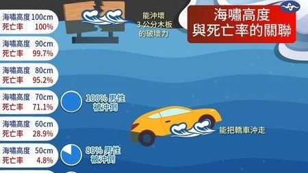 日本海嘯｜幾十厘米海浪多可怕？50cm沖倒8成男性　1米致死率100%