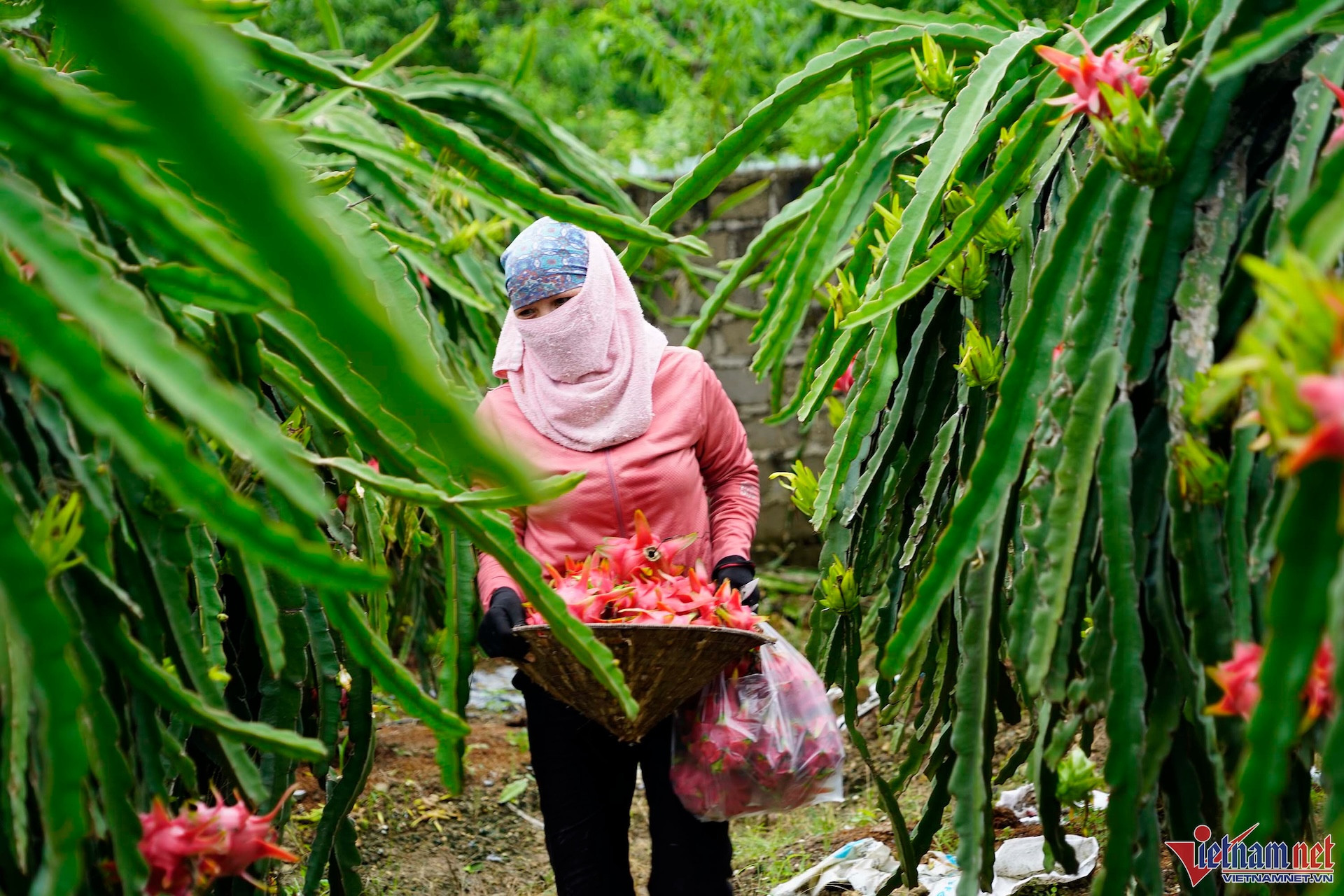 Ngân hàng đóng cửa loạt điểm giao dịch; tính thuế cao chuyển nhượng chứng khoán
