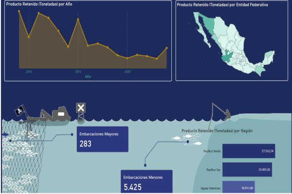 Guardianas del mar: mujeres yucatecas protegen lo que el Estado mexicano olvidó