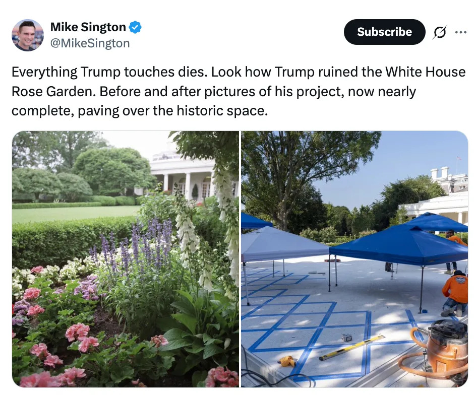 Split image showing a lush garden on the left and a paved area with construction tools on the right, suggesting garden renovation