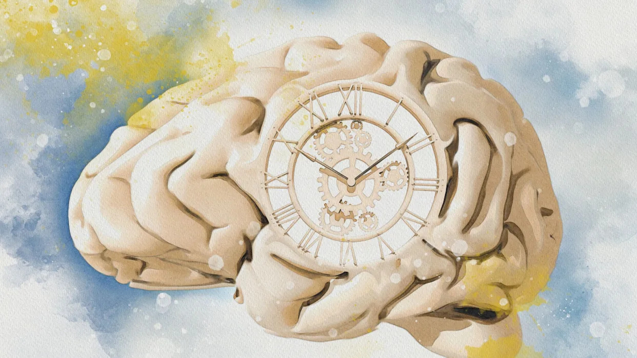 Scientists Found a Hidden Switch in Your Brain That Could Reverse Memory Loss