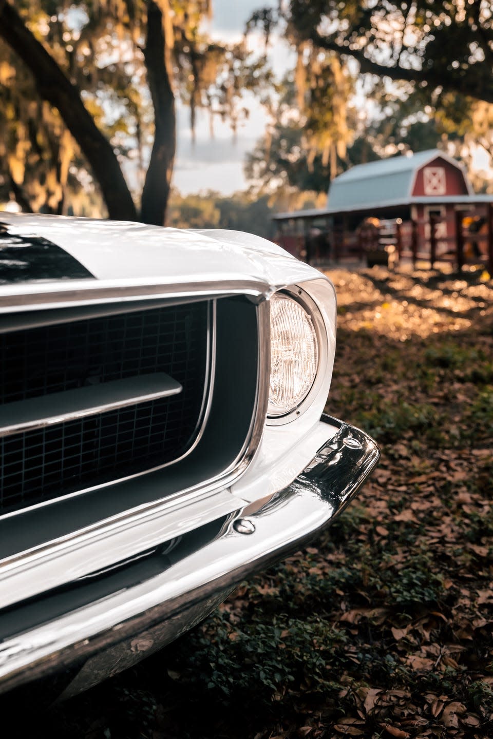 ecd automotive design 1967 ford mustang ghost debut images