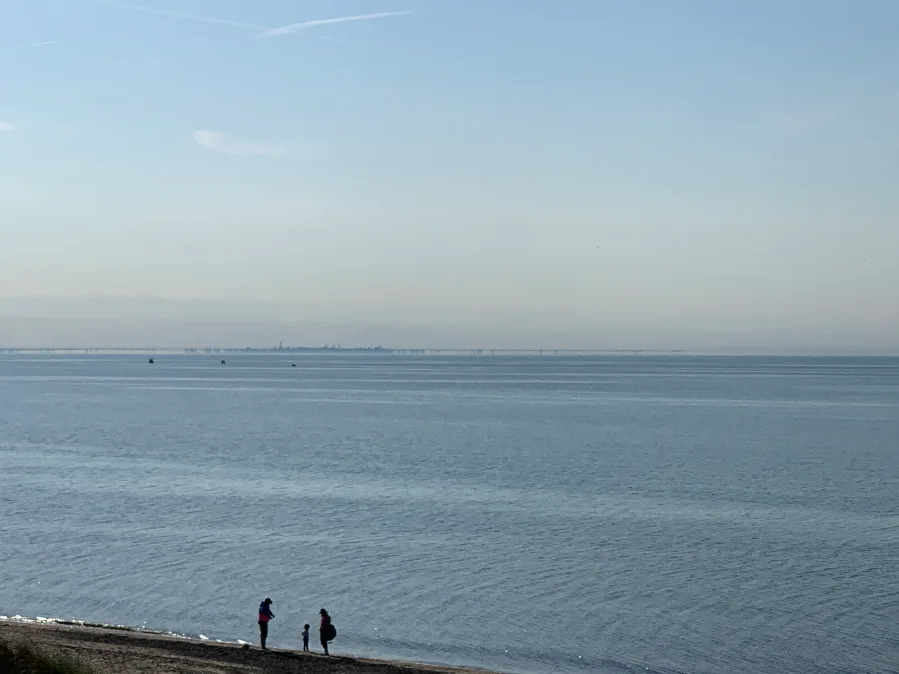 Victim pulled from Lake Michigan on North Side dies