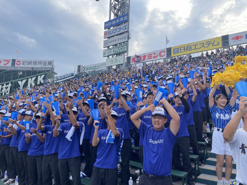アルプススタンドも青一色　鮮やかユニホームの青藍泰斗　夏の甲子園