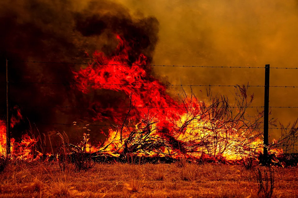 Gifford Fire burns 30,000 acres in Los Padres National Forest on August 2, 2025. Flames sweep through rugged terrain near Santa Maria, California, forcing evacuations and endangering nearby communities and wildlife.