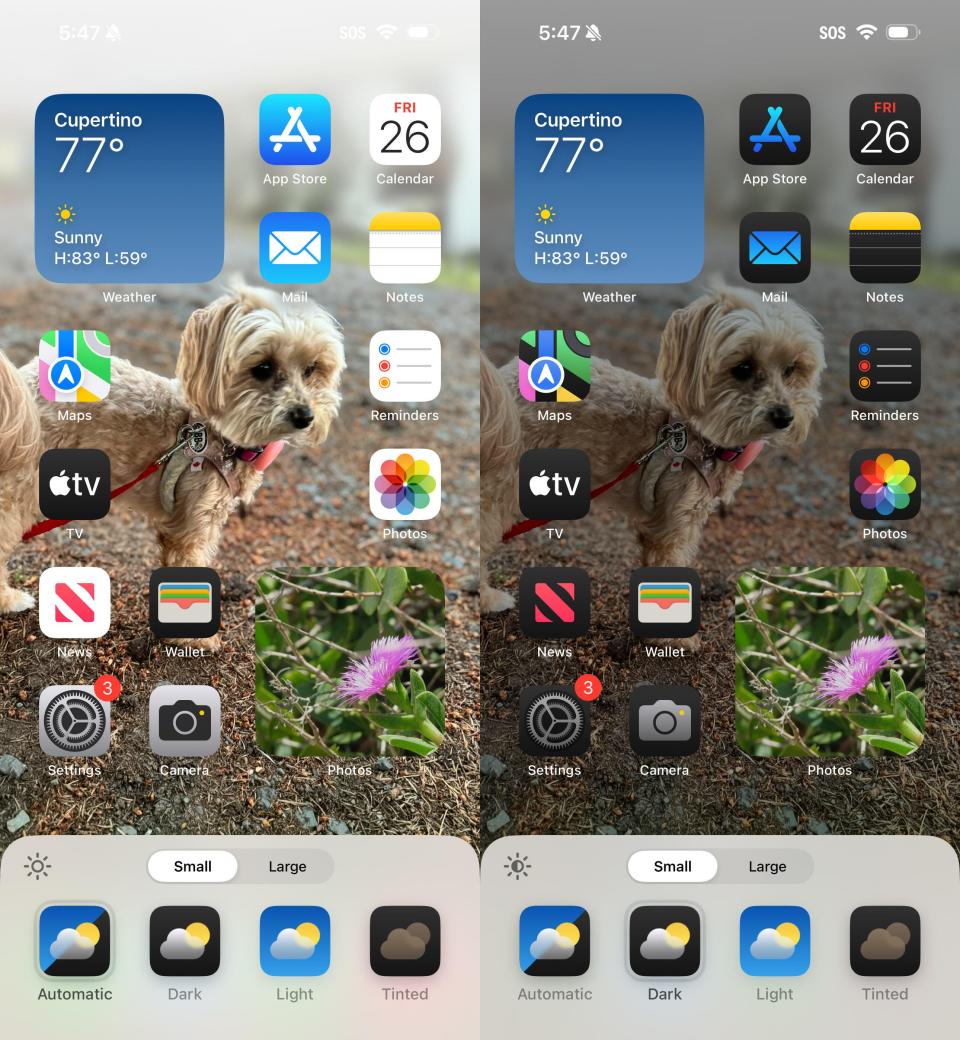 iOS 18 screenshots showing Automatic mode (light) and Dark mode treatments.