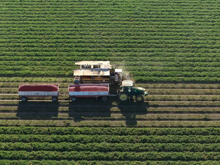 Farmworkers keep dying from heat illness, 20 years after California vowed to protect them