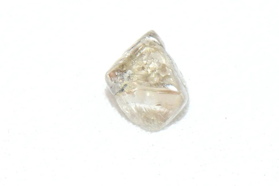 The woman named the gem the Fox-Ballou Diamond after her and her partner’s last names (Arkansas State Parks)