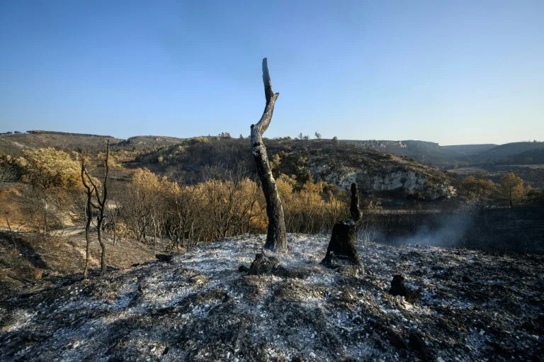 Massive French wildfire contained but 'not under control'
