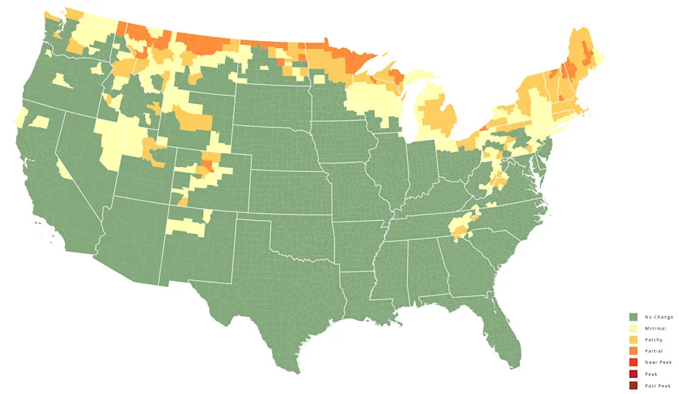 This map shows a prediction of fall foliage colors across the country during the week of Sept. 16, 2025.