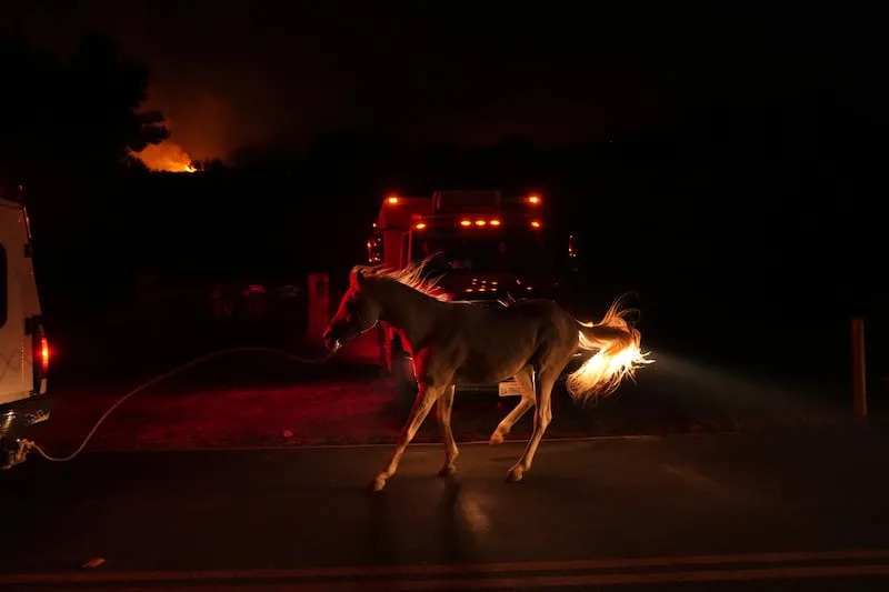 APTOPIX California Wildfires