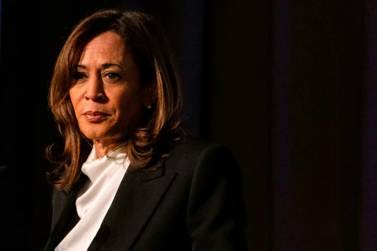 Former US Vice President Kamala Harris has yet to reveal her next move (Camille Cohen)