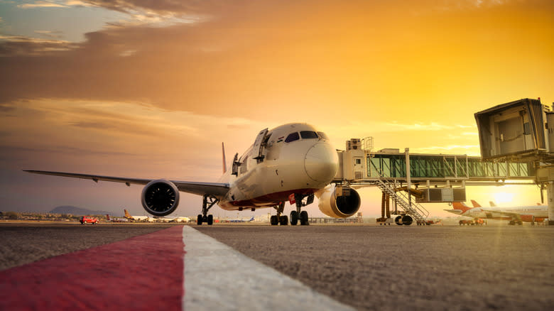 Air India 787 Dreamliner parked at Delhi Airport