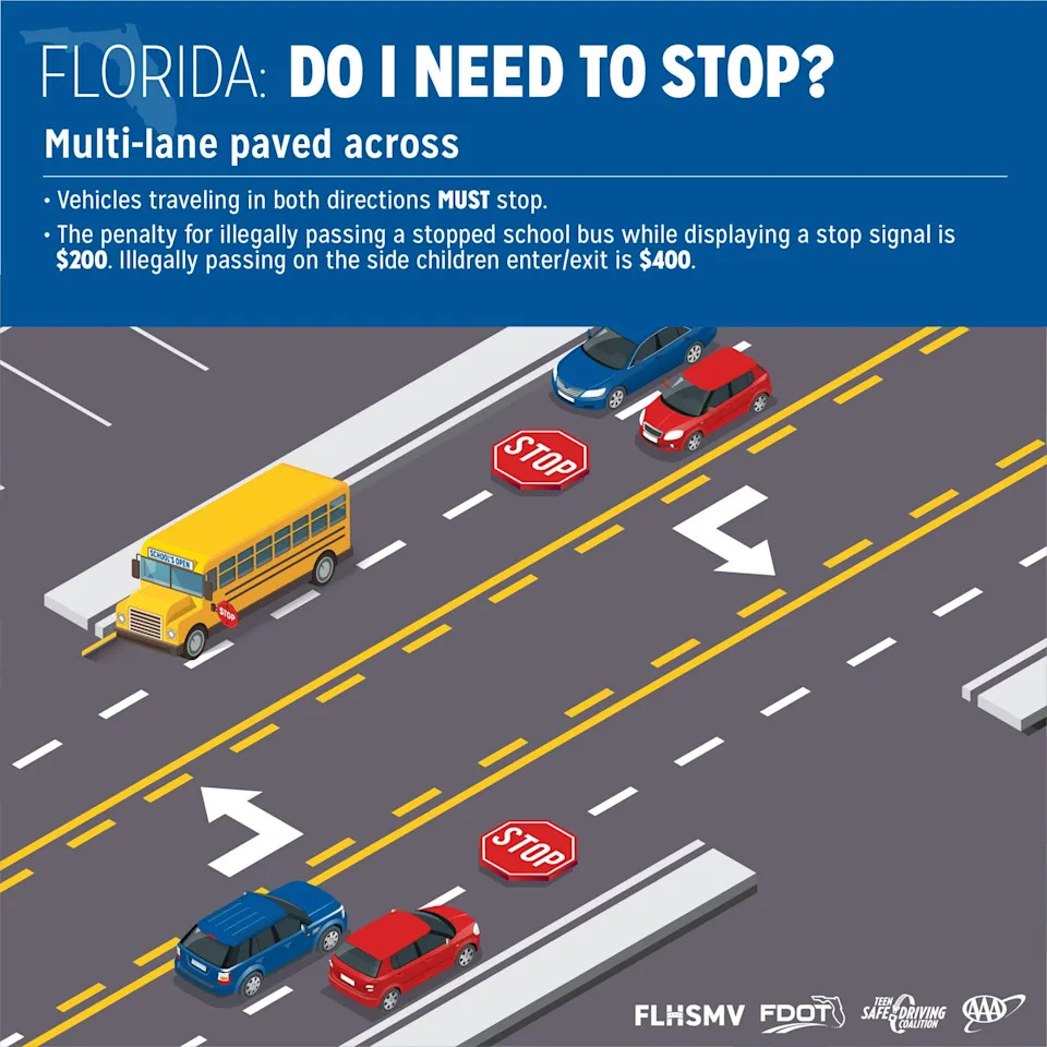 Multilane School Bus FDOT