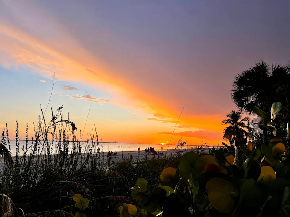 Best SW Florida reader photos include Ding Darling, Lakes Park