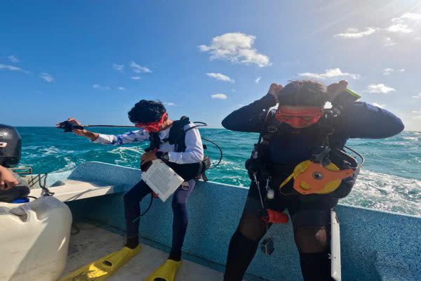 Guardianas del mar: mujeres yucatecas protegen lo que el Estado mexicano olvidó