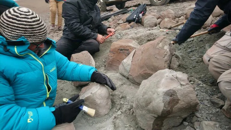 Los científicos durante la campaña del 2020 en la Estancia Anita, Santa Cruz, donde se dieron los hallazgos, uno de los cuales se anunció ayer.