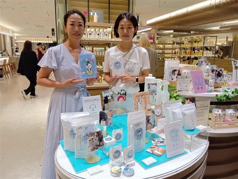 8月8日は「世界猫の日」　保護猫支援でチャリティーイベント