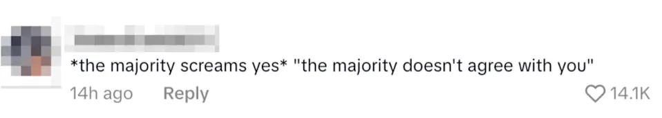 Comment with ironic disagreement: "*the majority screams yes* *the majority doesn't agree with you*" with 14.1K likes