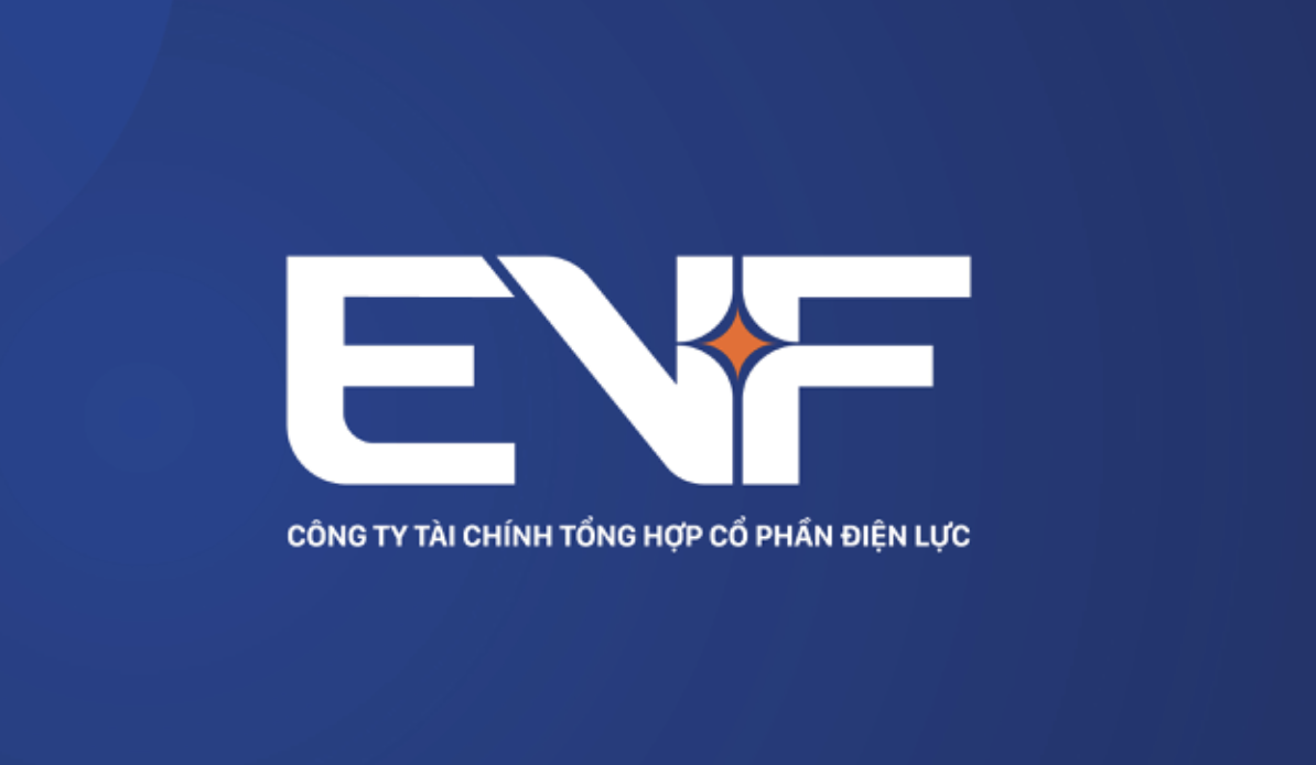Sau khi thanh tra chỉ ra loạt ‘góc khuất’, EVN Finance bỏ tên dễ gây nhầm lẫn
