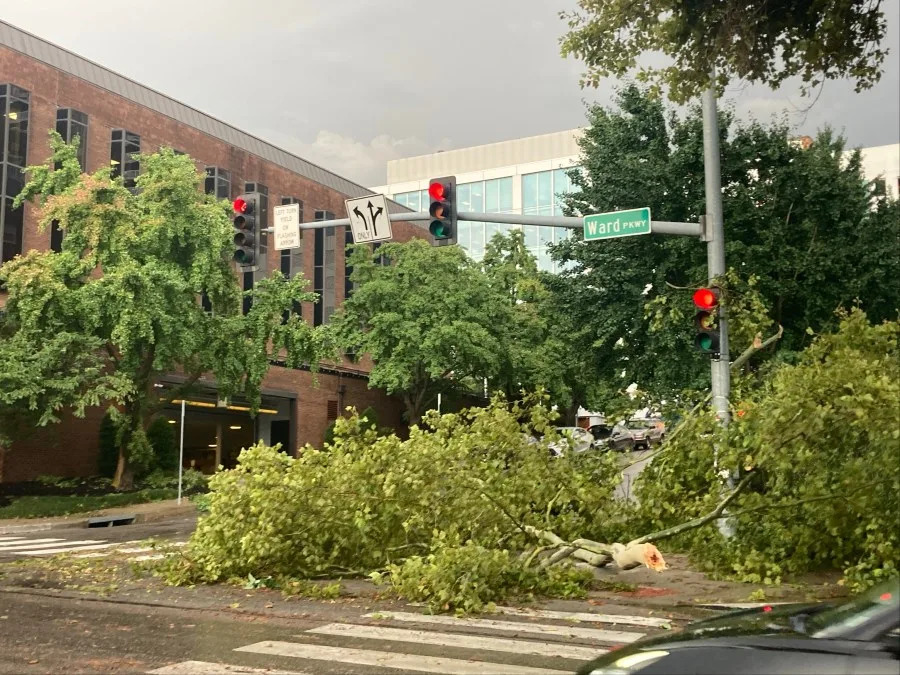 Fallen trees near Country Club Plaza in Kansas City