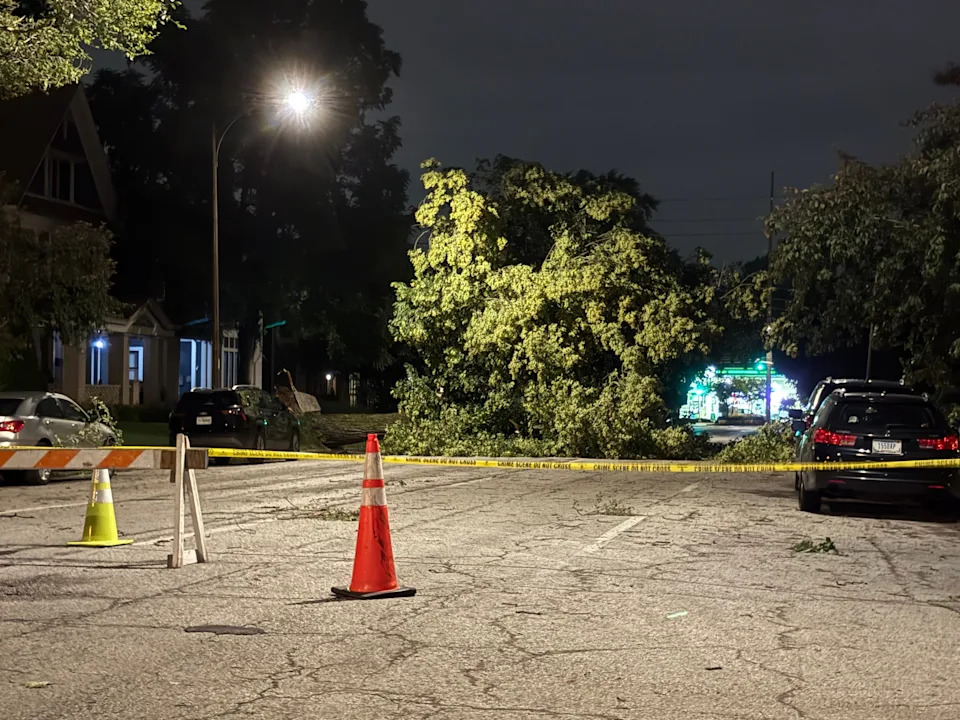 Can you trim your neighbor's tree? Here's what an Indiana arborist says