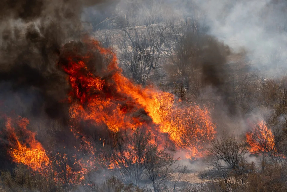 The Canyon Fire burns in Hasley Canyon, California, US, on Friday, Aug. 8, 2025.