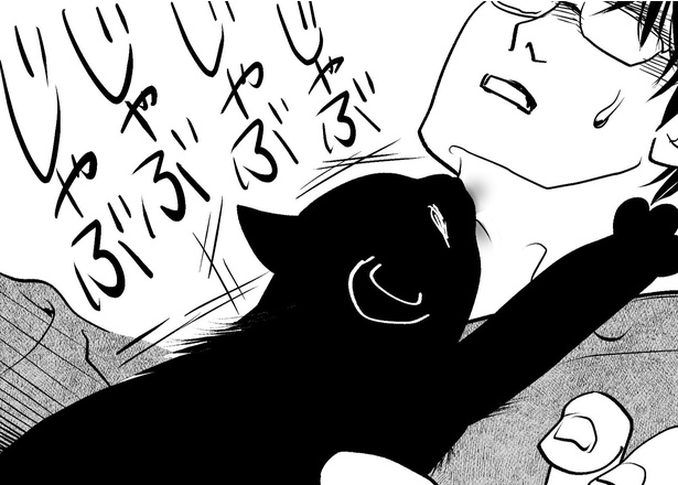 懐かない愛猫が朝は必ず主の元へ…元保護猫の独特な癖を描いた漫画に「愛しすぎる」の声【漫画】