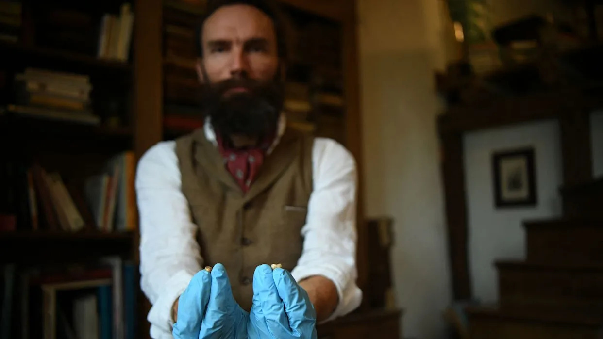 Scientists Sequenced the DNA of the ‘Last Neanderthal’—and It Alters Human History