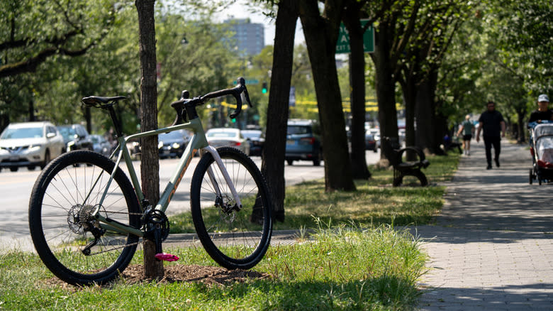 A green and white bicycle on a trail in New York City