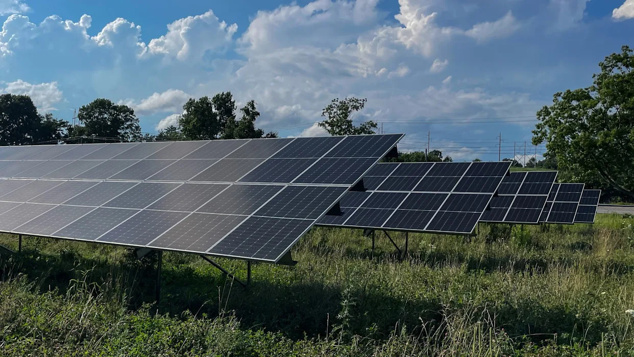 solar panels in a field.