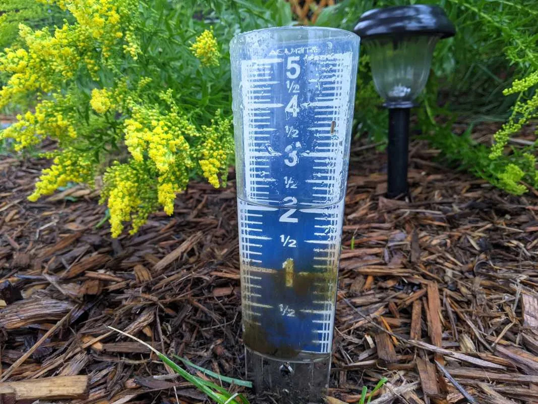 How much rain fell in Minnesota during Friday night's storms?